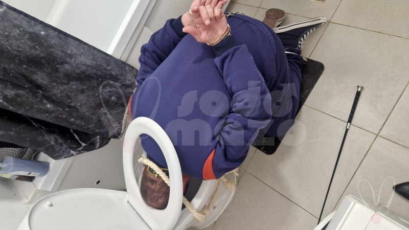 Москва (903)7779086
